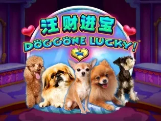 Doggone Lucky game screenshot